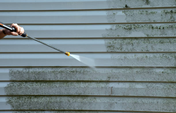 Best Roof Pressure Washing  in Fritz Creek, AK