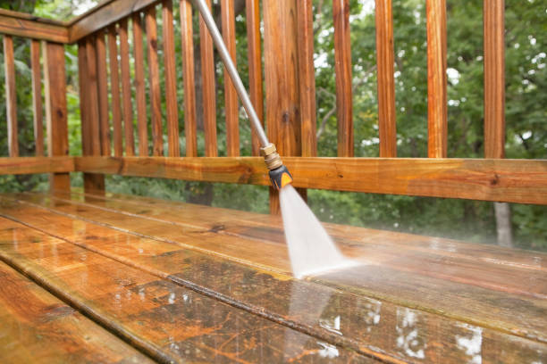 Best Pressure Washing Near Me  in Fritz Creek, AK