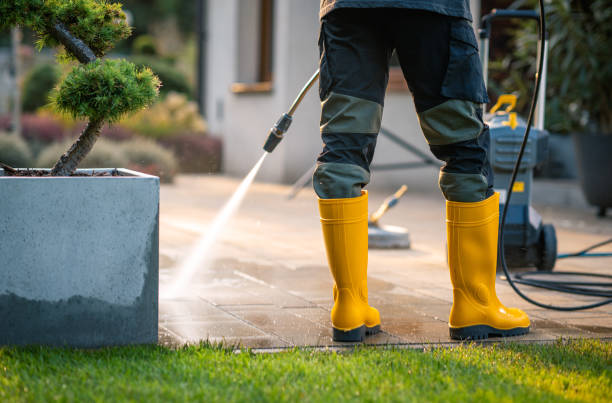 Best Local Pressure Washing Services  in Fritz Creek, AK